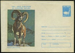 1980 RUMÄNIEN, 55  B. Ganzsachen-Umschlag Schwan, Blau: Europ. Naturschutzjahr = Mufflon, Ungebr. (Mi.U 1051) - Rot- & S - Sonstige & Ohne Zuordnung