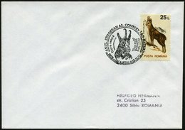 1990 (15.11.) RUMÄNIEN, 25 L. Gemse, EF + Motivgleicher Sonderstempel: 5979 SV IEDU, EUROP. NATURSCHUTZJAHR (Gemsenkopf) - Other & Unclassified