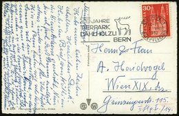 1962 SCHWEIZ, Maschinen-Werbestempel: BERN 1, 25 JAHRE TIERPARK DAHLHÖLZLI (= Hirsch) Bedarrfs-Ausl.-Ak. - Rot- & Schale - Other & Unclassified