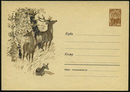 1962 UdSSR, 4 Kop. Ganzsachen-Umschlag, Braun: Rotwild-Familie Im Wald, Ungebr. - Rot- & Schalenwild / Red Deer / Bêtes  - Sonstige & Ohne Zuordnung