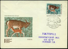 1969 (10.9.) UdSSR, 6 Kop. Naturschutzgebiet Belowesch, EF = Reh Mit Kitz + ET-SSt.: MOSKAU (Wisent) Motivgleicher FDC-S - Other & Unclassified