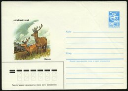 1984 UdSSR, 5 Kop. Ganzsachen-Umschlag, Blau: Gebiet Altai, Maral-Hirsch, Ungebr. - Rot- & Schalenwild / Red Deer / Bête - Sonstige & Ohne Zuordnung