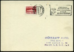1983 (2.12.) RUMÄNIEN, Maschinen-Werbestempel: CRESTEREA NUTRIILOR.. (2 Nutrias) Inl.-Karte - Nagetiere & Eichhörnchen / - Sonstige & Ohne Zuordnung