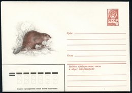 1981 UdSSR, 4 Kop. Ganzsachen-Umschlag, Braun: Biber, Ungebr. - Nagetiere & Eichhörnchen / Rodents & Squirrel / Rongeurs - Sonstige & Ohne Zuordnung