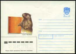 1990 UdSSR, 5 Kop. Ganzsachen-Umschlag, Blau: WWF, Murmeltier, Ungebr. - Nagetiere & Eichhörnchen / Rodents & Squirrel / - Autres & Non Classés