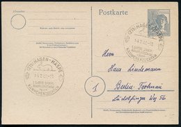 1948 (14.2.) (21 B) HAGEN-HASPE, Sonderstempel: 1. GROSSE SAUERL. RAMMLERSCHAU WESTF. KANINCHENZÜCHTER (Kaninchen) Inl.- - Autres & Non Classés