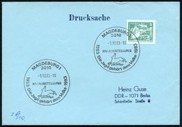 1983 (9.10.) 3010 MAGDEBURG 1, Sonderstempel: XVI. AUSSTELLUNG, Die Jagd Gehört Dem Volke = Fliehender Hase, Inl.-Brief  - Sonstige & Ohne Zuordnung