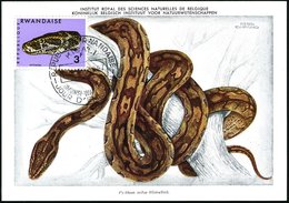 1967 (30.1.) RUANDA, 3 F. Felsen-Python + ET-Sonderstempel: KIGALI, ET-Maximumkarte (Mi.205) - Reptiline, Schlangen & Am - Other & Unclassified