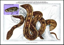 1967 (30.1.) RUANDA, 3 F. Felsen-Python + ET-Sonderstempel: KIGALI, ET-Maximumkarte (Mi.205) - Reptiline, Schlangen & Am - Sonstige & Ohne Zuordnung