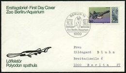 1977 (16.8.) BERLIN, 30 Pf. Löffelstör, EF (Mi.553 EF) + ET-Zoo-Sonderstempel: 1000 BERLIN 12, Zoo Berlin, Aquarium (Gor - Otros & Sin Clasificación