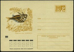 1971 UdSSR, 4 Kop. Ganzsachen-Umschlag Ocker: Marmorheilbauchfisch (Zierfisch) Ungebr. - Fisch / Fish / Poisson / Pesce - Other & Unclassified