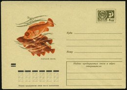 1971 UdSSR, 4 Kop. Ganzsachen-Umschlag, Grau: Meerbarsch, Ungebr. - Fisch / Fish / Poisson / Pesce - Altri & Non Classificati