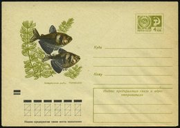 1971 UdSSR, 4 Kop. Ganzsachen-Umschlag, Oliv: Schützenfisch (Aquarienfisch), Ungebr. - Fisch / Fish / Poisson / Pesce - Autres & Non Classés