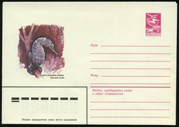 1984 UdSSR, 5 Kop. Ganzsachen-Umschlag, Lilarot: Seepferdchen, Ungebr. - Fisch / Fish / Poisson / Pesce - Sonstige & Ohne Zuordnung