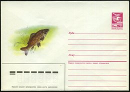 1987 UdSSR, 5 Kop. Ganzsachen-Umschlag, Lilarot: Karpfen, Ungebr. - Fisch / Fish / Poisson / Pesce - Other & Unclassified