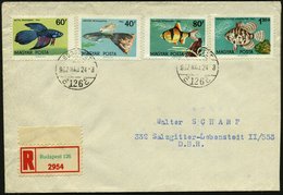 1962 (24.5.) UNGARN, 40 F., 60 F. 80 F. U. 1,20 Ft. Zierfische, 1K-Brücke + R-Zettel: Budapest 126, Ausl.-R-Brief (Mi.18 - Autres & Non Classés