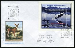 1992 (16.11.) RUMÄNIEN, 100 L. "Nordische Fauna" Block, EF = SchwertOrca) + ET-Sonderstempel: Bucuresti (Adlerkopf) Inl. - Sonstige & Ohne Zuordnung