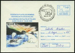 1996 (8.6.) RUMÄNIEN, 150 L. Sonder-Ganzsachen-Umschlag: XI. Biennale Der Polarpost-Philatelisten Wal, Eisbär, Nordlicht - Sonstige & Ohne Zuordnung