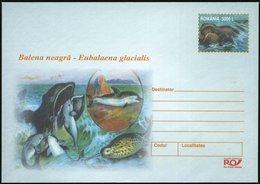 2002 RUMÄNIEN, 3000 L. Sonder-Ganzsachen-Umschlag: Atlantischer Nordkaper (Glattwal) U. Narwal Etc., Ungebr. (No.245) -  - Otros & Sin Clasificación