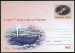 2003 RUMÄNIEN, 3000 L. Sonder-Ganzsachen-Umschlag: Krill = Histor. Waljagd, Blauwal, Ungebr. (No.180) - Wal & Delphin /  - Autres & Non Classés