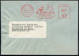 1958 (20.9.) (20 B) HANN. MÜNDEN, Absender-Freistempel: F. Pannertz, Schmirgelwerk.. = Vogel Strauß, Fernbrief - Vögel / - Other & Unclassified