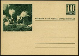 1961 SCHWEIZ, 10 C. Bildganzsache, Grün: BASEL, Zoologischer Garten Flamingo-Kolonie, Ungebr. (Mi.P 206) - Vögel / Birds - Autres & Non Classés