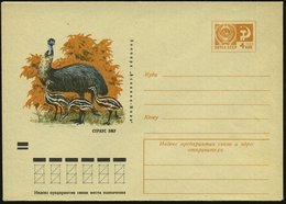 1971 UdSSR, 4 Kop. Ganzsachen-Umschlag, Ocker: Naturschutzpark "Askania-Nowa" = Emu Mit 3 Jungen, Ungebr. - Vögel / Bird - Altri & Non Classificati