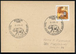 1975 (25.3.) 1085 BERLINl, Sonderstempel: TIERE AUS DEN TIERGÄRTEN DER DDR = Elefant Auf Passender EF 10 Pf. Zoo Dresden - Other & Unclassified