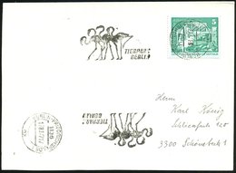 1977 (17.3.) 1136 BERLIN-FRIEDRICHSFELDE 1, Sowjet. Maschinen-Werbestempel (Ortsstempel 90° Gedreht, UB "nx"): TIERPARK  - Other & Unclassified