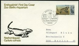 1977 (16.8.) 1000 BERLIN 12, ...Zoo Berlin/ Aquarium (Gorilla = Zoo West-Berlin) Auf Passender EF 50 Pf. Aquarium Berlin - Sonstige & Ohne Zuordnung