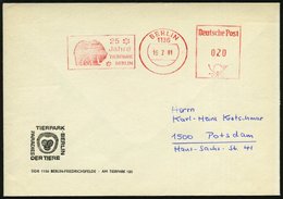 1980 (Febr.) 1136 BERLIN, Jubil.-Absender-Freistempel: 25 Jahre TIERPARK BERLIN (Bär = Zoo Ost-Berlin) Sonderumschlag. T - Sonstige & Ohne Zuordnung