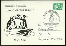 1980 (28.6.) 1136 BERLIN-FRIEDRICHSFELDE 4, Jubil.-Sonderstempel: 25 Jahre TIERPARK BERLIN, ANLAGE HUMBOLDTPINGUINE (Hum - Autres & Non Classés