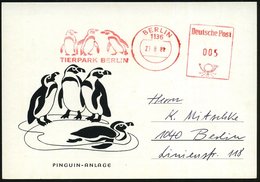 1981 (23.8.) 1136 BERLIN, Absender-Freistempel: TIERPARK BERLIN (3 Pinguine) Auf Motiv-ähnl. Sonderkarte: PINGUIN-ANLAGE - Autres & Non Classés