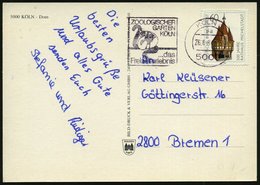 1984 (26.6.) 5000 KÖLN 1, Maschinen-Werbestempel: ZOOLOGISCHER GARTEN KÖLN.. = 2 Meerkatzen, Bedarfs-Ak. (Dom) (Bo.425 A - Altri & Non Classificati