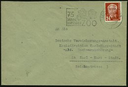 1953 (5.11.) LEIPZIG BPA 32, Maschinen-Werbestempel: 75 JAHRE LEIPZIGER ZOO = 2 Löwenbabys, Bedarfsbrief (Bo.317 A III = - Sonstige & Ohne Zuordnung