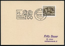 1953 (20.11.) LEIPZIG BPA 32, Maschinen-Werbestempel: 75 JAHRE LEIPZIGER ZOO = 2 Löwenbabys Auf Passender EF 24 Pf. "75  - Other & Unclassified