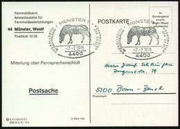 1978 (7.7.) 4400 MÜNSTER 1, Sonderstempel: Ausstellung Im Allwetterzoo.. = Zebra, 2x Auf Portofreier Postdienstkarte Fer - Altri & Non Classificati