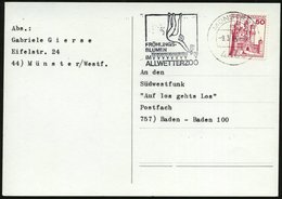 1980 (9.3.) 4400 MÜNSTER 1, Maschinen-Werbestempel: FRÜHLINGSBLUMEN IM ALLWETTERZOO = Gibbon Pflückt Blume, Bedarfskarte - Other & Unclassified