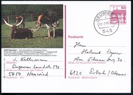 1986 5450 Neuwied, 60 Pf, Bild-Ganzsache Burgen: Zoo Neuwied.. Exoten U. Seltene Arten (Vogel Strauß, Antilopen, Langhor - Other & Unclassified