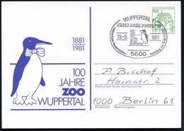 1981 (15.5.) 5600 WUPPERTAL 1, PP 50 Pf. Burgen: 100 JAHRE ZOO.. = Pinguin (Mi.PP 104/ 135) + Motivgleicher Sonderstempe - Other & Unclassified