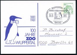 1981 (15.5.) 5600 WUPPERTAL 1, PP 50 Pf. Burgen: 100 JAHRE ZOO.. = Pinguin (Mi.PP 104/ 135) + Motivgleicher Sonderstempe - Autres & Non Classés