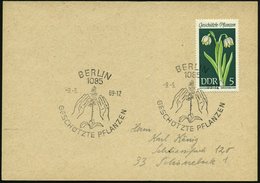 1969 (9.5.) D.D.R., 5 Pf. "Geschütze Pflanzen", EF = Märzenbecher + Passender Sonderstempel: 1085 BERLIN, GESCHÜTZTE PFL - Autres & Non Classés