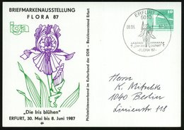 1987 (8.6.) 5010 ERFURT 1, PP 10 Pf. PdR., Grün: BRIEFMARKENAUSSTELLUNG FLORA 87, Iga.. "Die Iris Blühen".. = Iris (= Li - Otros & Sin Clasificación