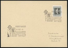 1963 (24.6.) FORST (LAUSITZ), Sonderstempel: IV. BEZIRKS-POSTWERTZEICHEN-AUSSTELLUNG.. = Rose, Inl.-Karte - Rosenzucht & - Autres & Non Classés