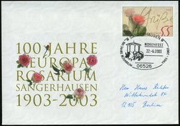2003 (22.6.) 06526 SANGERHAUSEN, Sonderstempel: 100 JAHRE ROSARIUM, ROSENFEST (Pavillon, Rosen) Auf Sonder-Ganzsachenums - Other & Unclassified