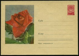 1958 UdSSR, 40 Kop. Ganzsachen-Umschlag, Rot: Rote Rose, Ungebr. - Rosenzucht & Rosen / Rose / Rosa - Altri & Non Classificati