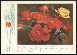 1969 UdSSR, 3 Kop. Bild-Ganzsache Komsomolzen, Grün: Gratulation! (rote U. Gelbe Rosen Etc.) Ungebr. - Rosenzucht & Rose - Altri & Non Classificati