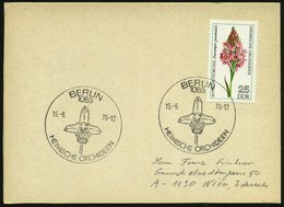 1976 (15.6.) 1085 BERLIN, 25 Pf. Rote Spitzenorchis, EF + Passender Sonderstempel: 1085 BERLIN, HEIMISCHE ORCHIDEEN, Aus - Sonstige & Ohne Zuordnung