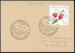 1968 (5.12.) 1297 ZPERNICK, Handstempel: BESUCHT DEN SCHAU- U. LEHRGARTEN (Orchidee) Auf EF 5 Pf. Orchidee, Inl.-Karte ( - Sonstige & Ohne Zuordnung