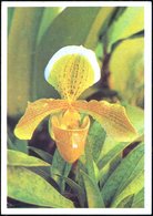 1976 UdSSR, 3 Kop. Bild-Ganzsache, Komsomolzen, Schw.: Ochidee, Ungebr. - Orchideen / Orchids / Orchidees / Orchidea - Altri & Non Classificati